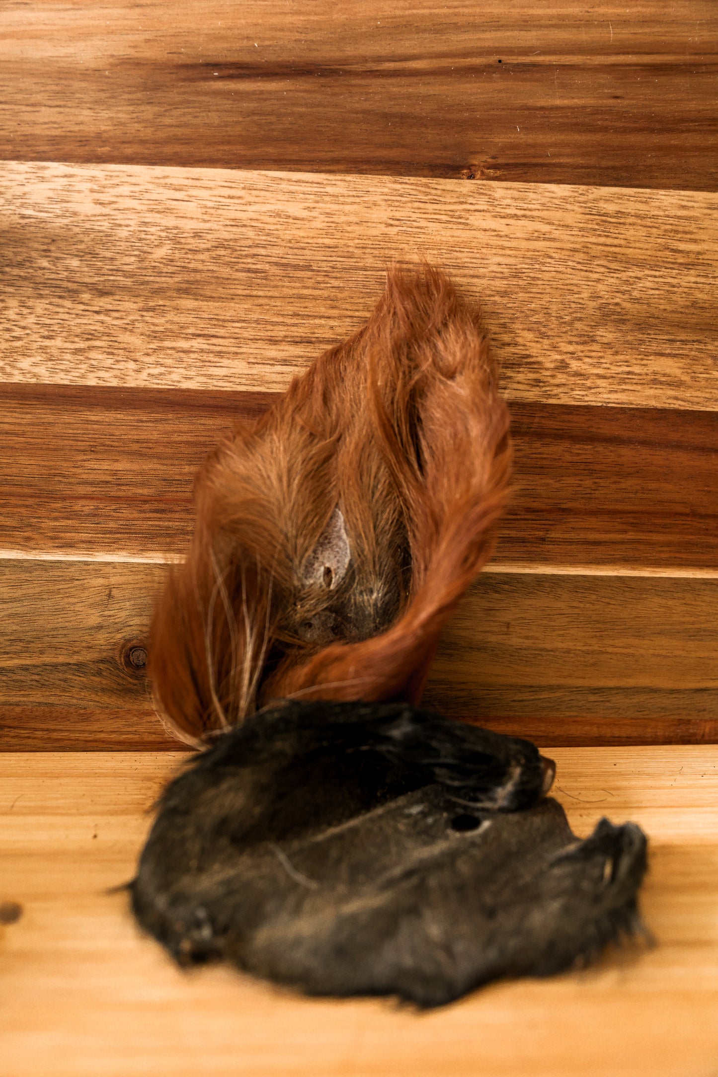 Cow Ears with Fur - Single