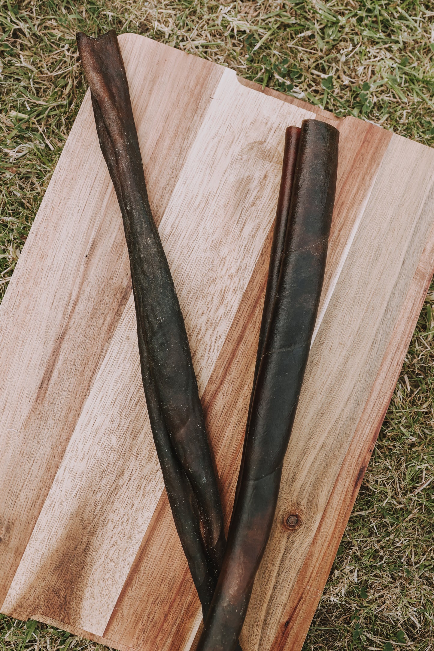 Camel Skin Roll | 50cm