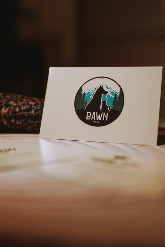 Did You Know? Keeping your pets healthy, naturally