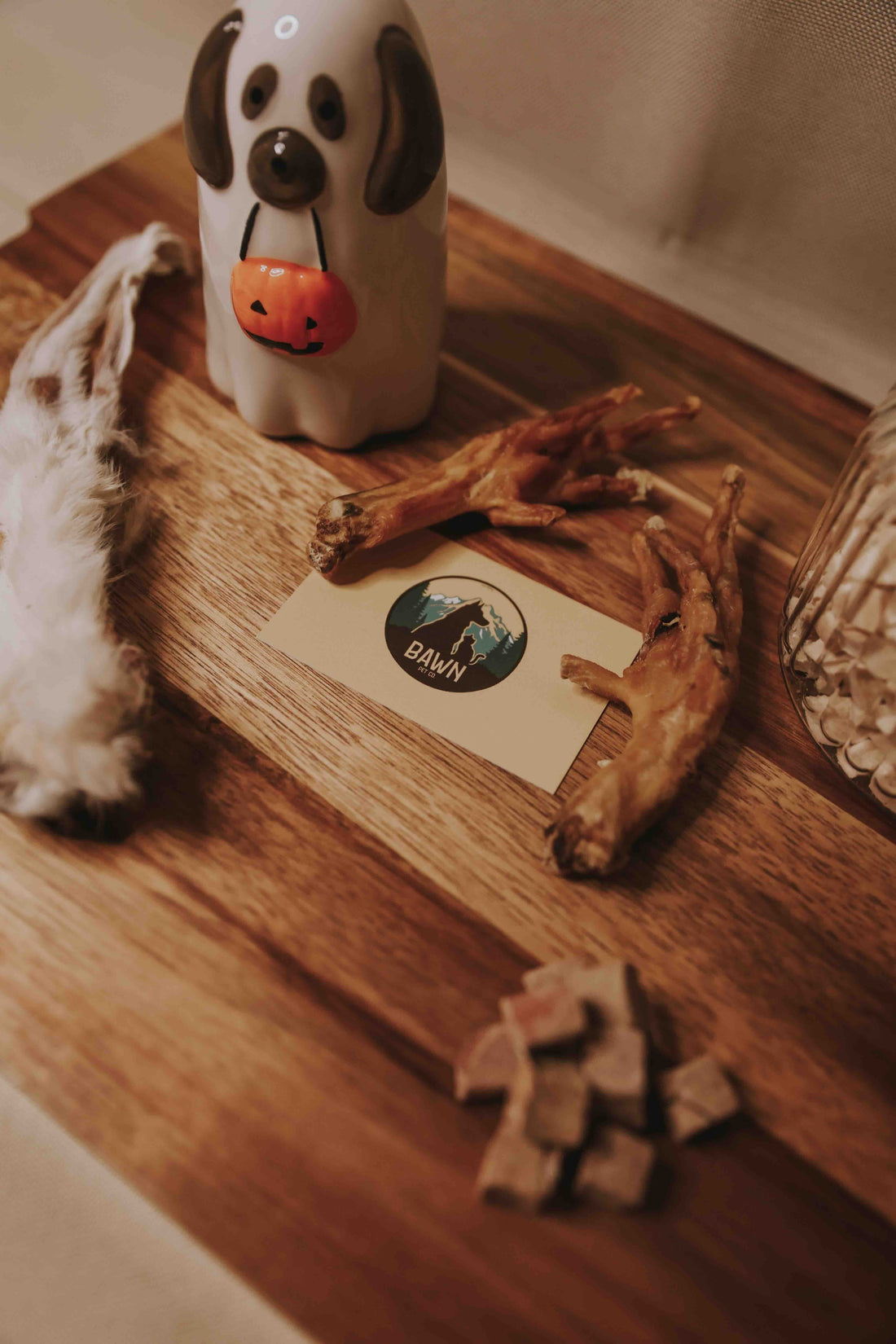 Firework Season - Keeping your pets safe & calm