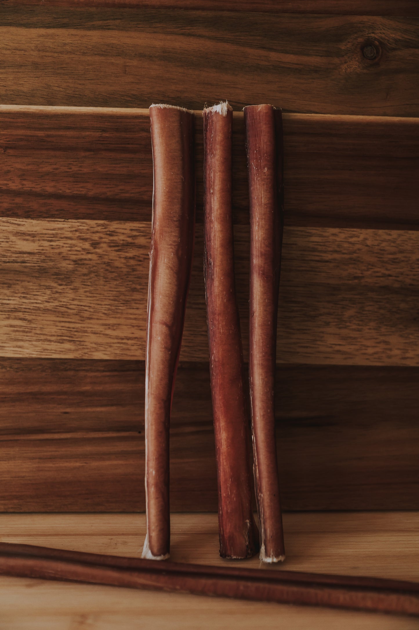 Bull Pizzles - 24cm