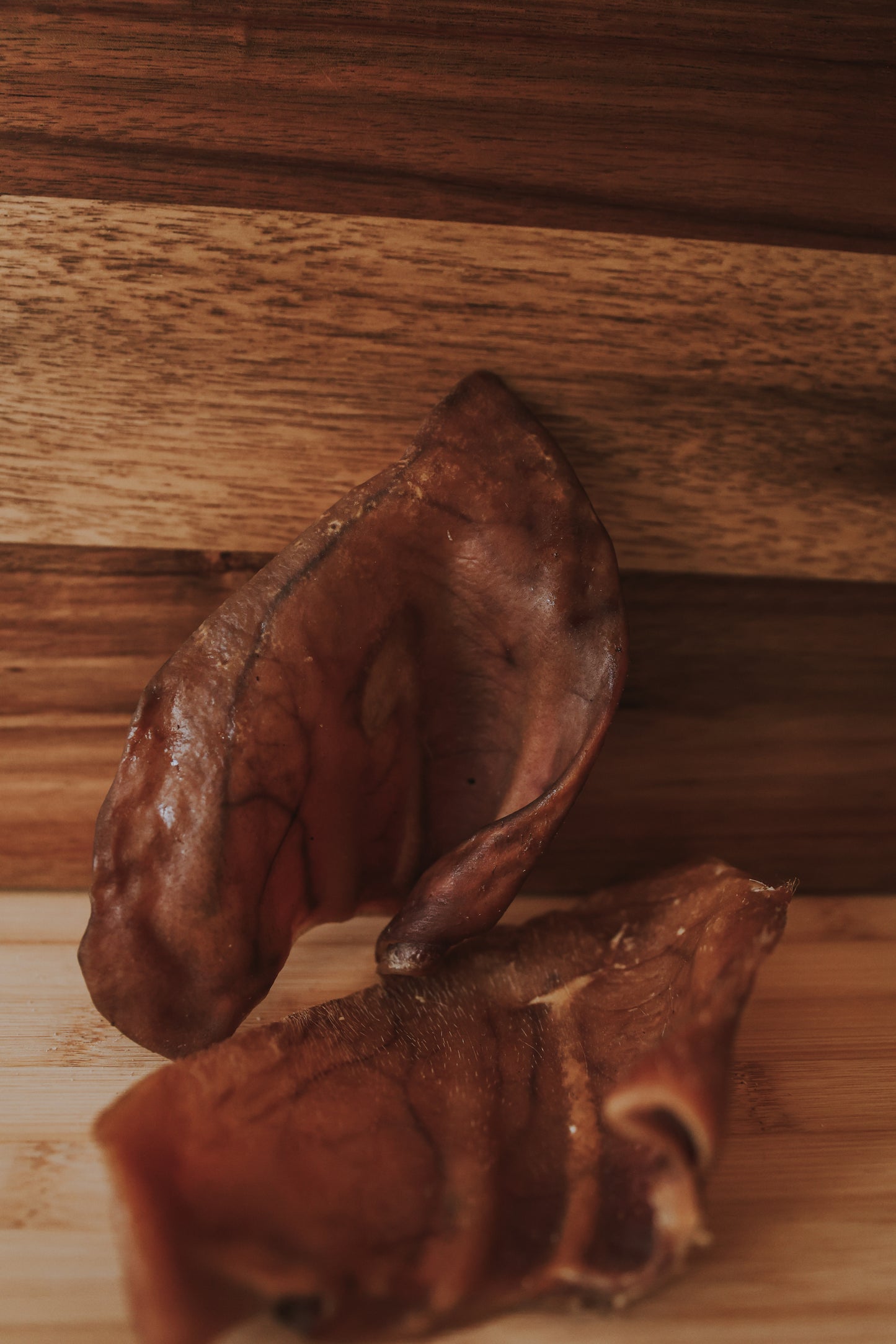 Medium Pig Ears