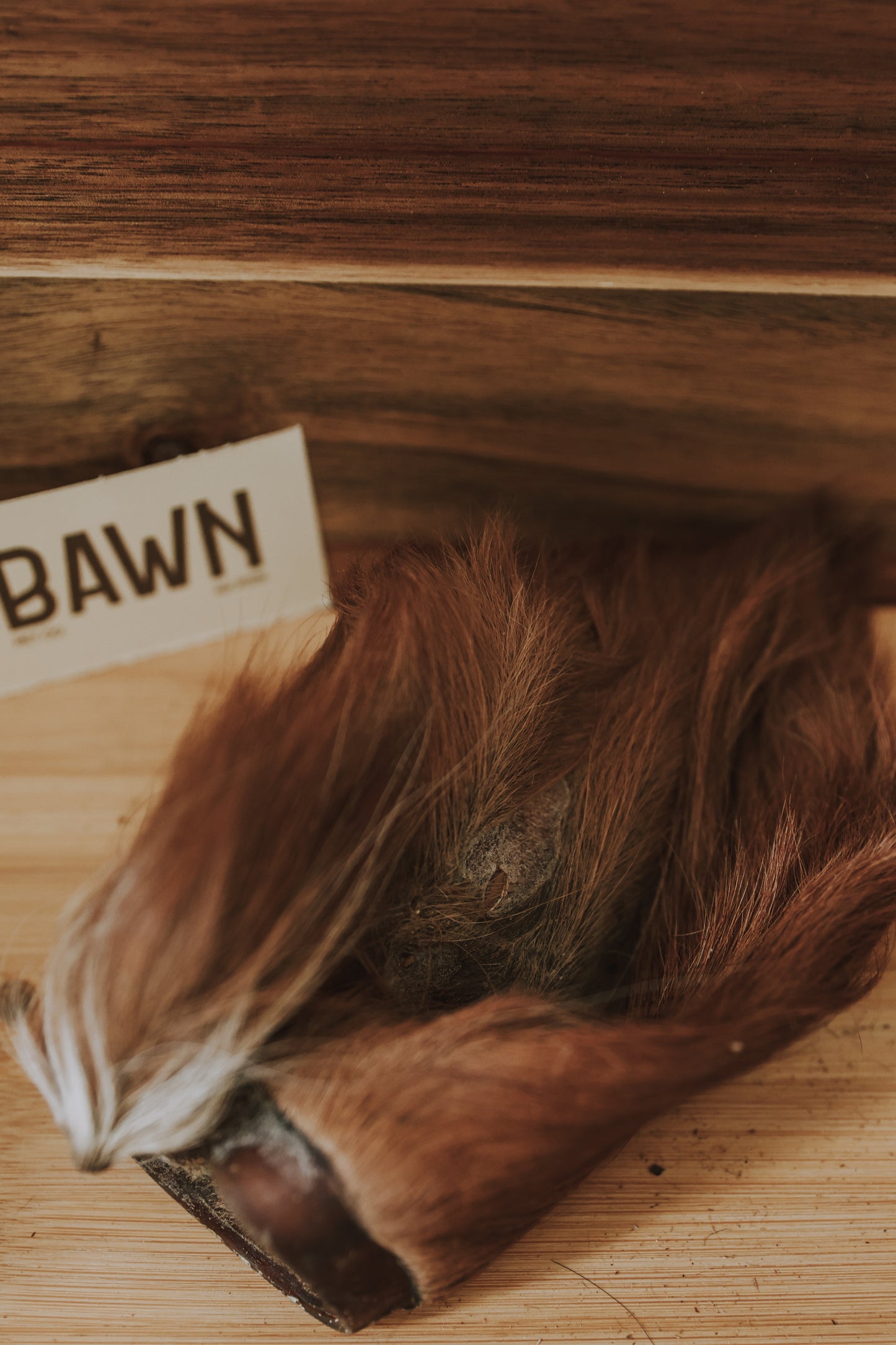 Cow Ears with Fur - Single
