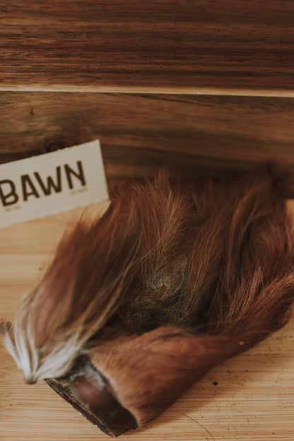 Cow Ears with Fur - Single