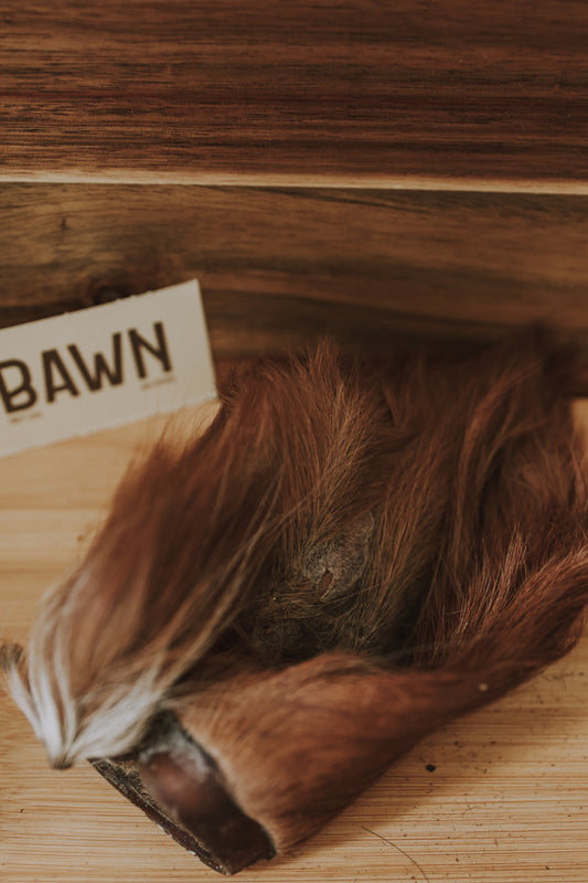 Cow Ears with Fur - Single