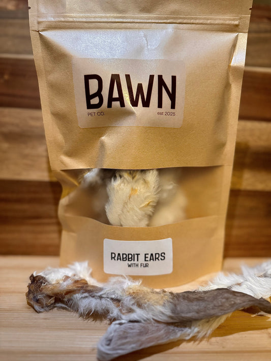 Rabbit Ears - with Fur