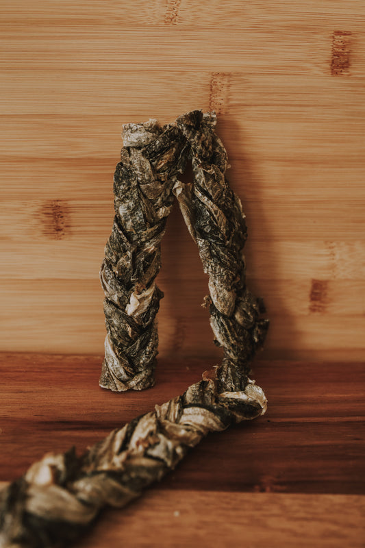 Fish Skin Braids