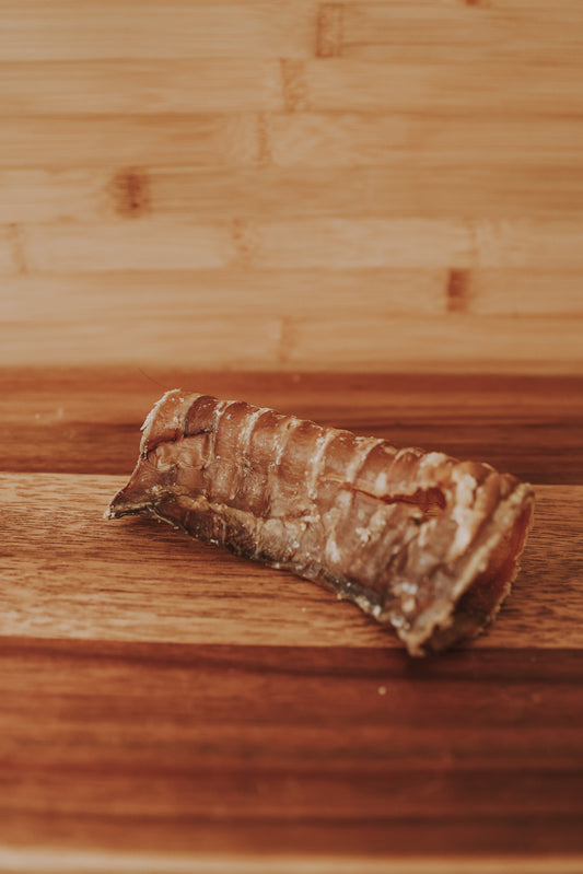 Beef Trachea | 12cm